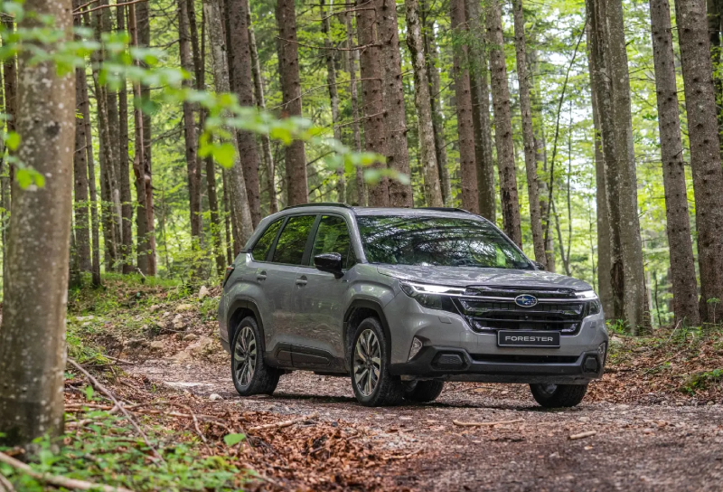 All-wheel drive cars: what they are & how they keep you safe